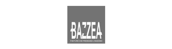 Bazzea B Construction Tecnology