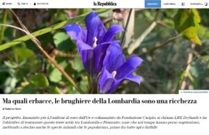 Ufficio stampa per Life Drylands.